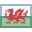 Pays de Galles icon