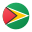 圭亚那循环 icon