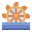 Water Mill icon