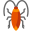 Cockroach icon