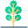 Tree icon