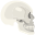 Cranio icon