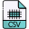 CSV icon