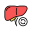 Liver Transplant icon