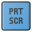 PRT SCR icon