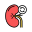 Kidney Transplant icon