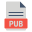 Pub File icon