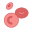 红细胞 icon
