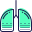 Lungs icon