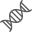 Dna icon