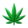 Foglia di Marijuana icon