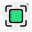 résolution-d'écran-d'extension-externe-ajustement-à-l'écran-grand-zoom-profond-avant-étirement-maximum-alignement-vert-tal-revivo icon