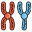 Chromosome String icon