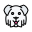 Soft Coated Wheaten Terrier icon