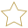 Estrela preenchida icon
