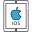 06-apple ipod icon