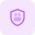 Parcel service with courier safety coverage plan layout icon