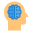 Brain icon