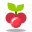 Christmas Berry icon