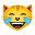 gato-com-lágrimas-de-alegria icon