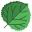 Quaking Aspen Leaf icon