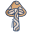 Magic Mushroom icon