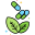 Herbal Treatment icon