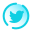 Twitter eingekreist icon