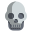 Skull icon