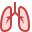 Lungs icon