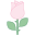 Rosa icon