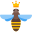 奎恩蜜蜂 icon