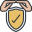 Protection icon