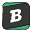 Brainly icon