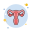 子宫 icon
