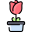 Rosa icon