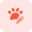 Vaccine and medicine for domestic animals layout icon