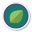 Organic Food icon