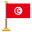 внешний-Тунис-Флаг-флаги-icongeek26-квартира-icongeek26 icon