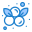 Blueberry icon