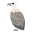 vulture icon