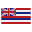 Hawaii-Flagge icon