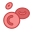 Erythrocytes icon