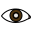 glaucoma icon