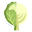 卷心菜 icon