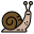 Caracol icon