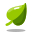 Feuille icon