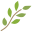 Branch icon