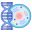 Biology icon