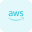 Amazon AWS icon